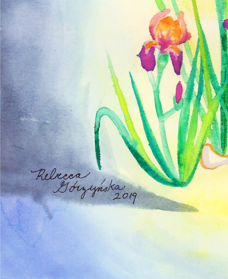 watercolor detail pink iris and snow