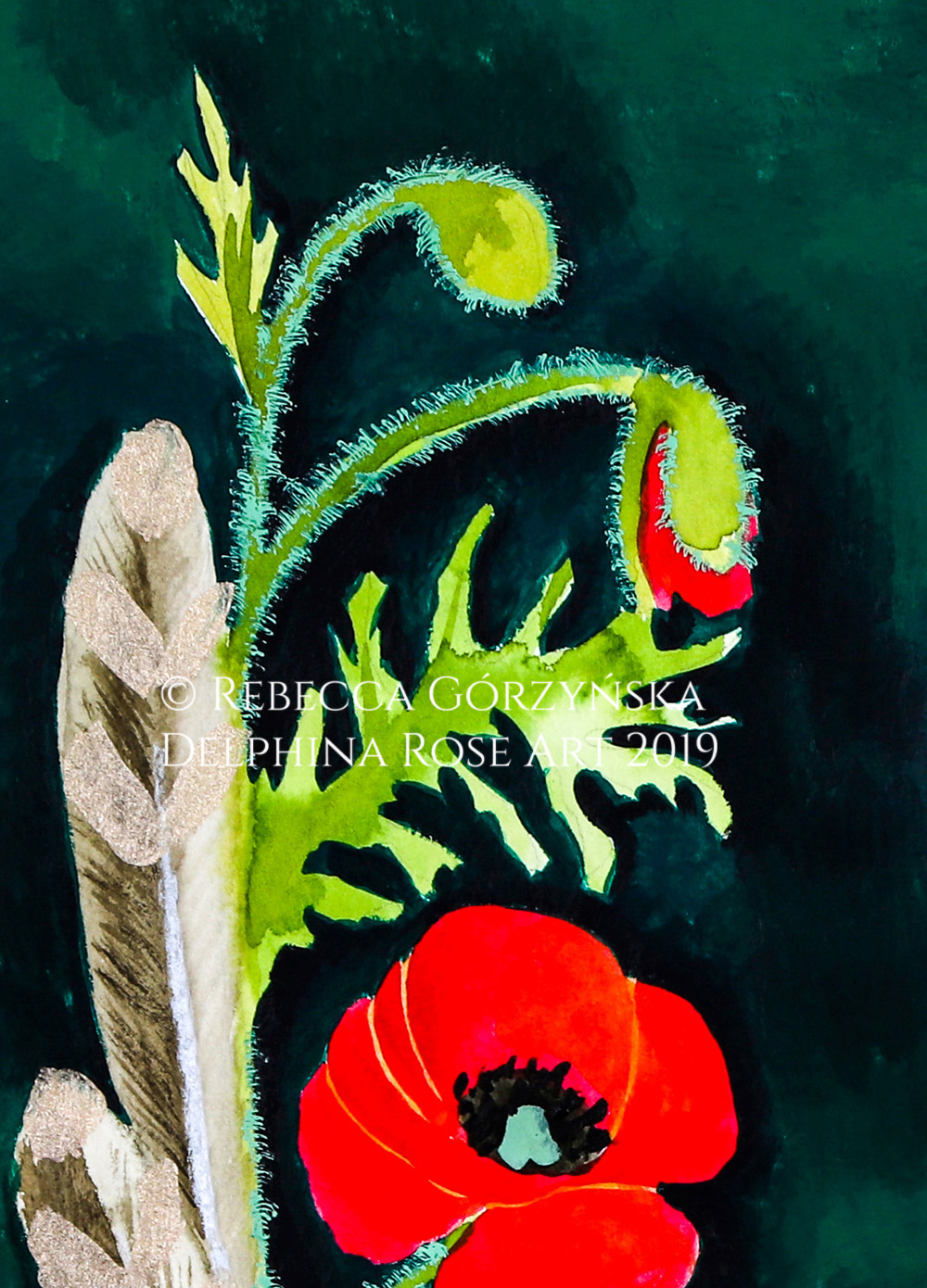watercolor poppies and feather on dark green background